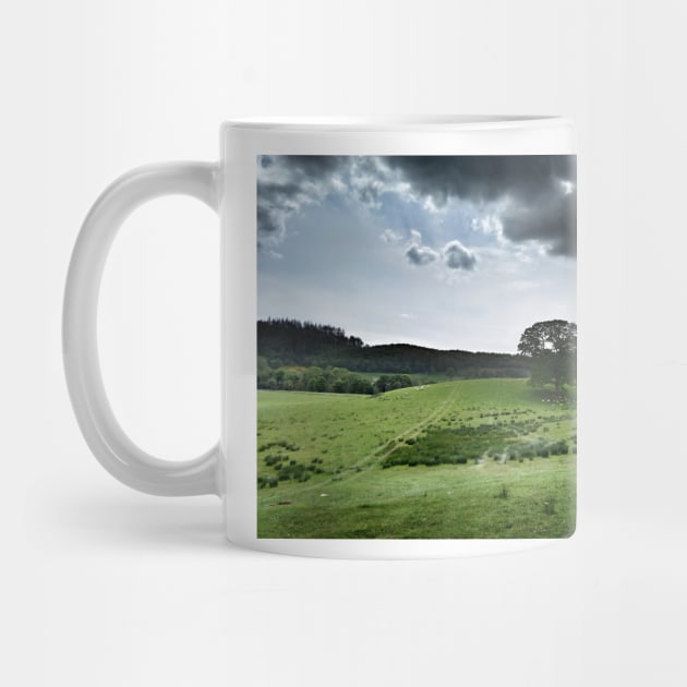 The contrast of midday -  farmland near Crieff, west perthshire, Scotland, UK by richflintphoto